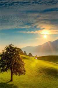 倩影幽幽入我心全文免费