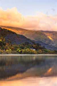 夜色微凉人如新小说免费