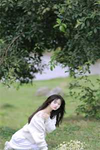 清风不语自温柔连载