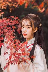 爱是沼泽也是岸热门小说