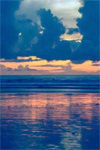 白露枝头复往春后续+结局