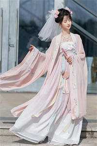 变成战神赘婿后：冰山老婆主动贴上来完整文集阅读