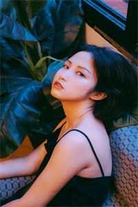 从此音尘各悄然爽文