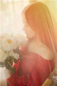 绝字入归鸟完整文集阅读