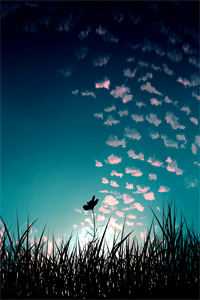 一程星光一程暖阅读