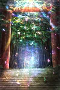 华年不染风霜意小说免费