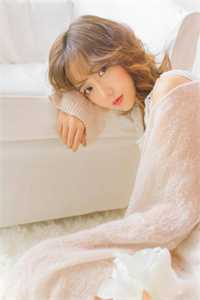 风月归来仍少年前文+番外