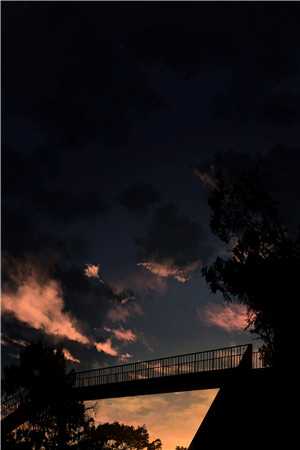 真千金回家后，假千金杀疯了全章节