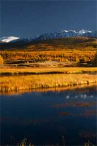 神医空间，重生六零小祖宗前文+番外