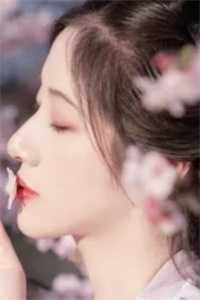 星辰满目皆成空全文+番外