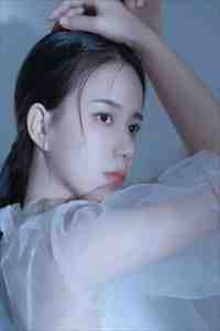 北城旧梦扰清风小说免费