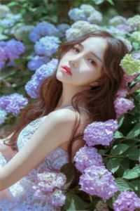 恰似霜雪遇春归最新章节列表