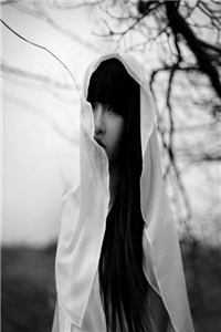 养心殿那位娇娇，被陛下宠疯了姝懿褚临完结文