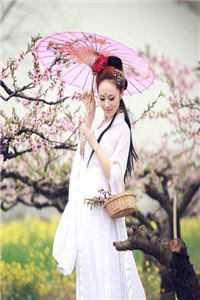 清风不语自温柔已完结版