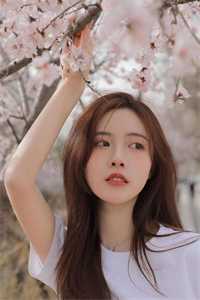 花落魂散余生苦良心推荐