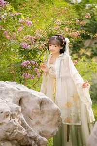 盛世烟花不映颜抖音