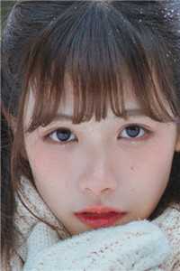 楼台高悬映月全章节阅读