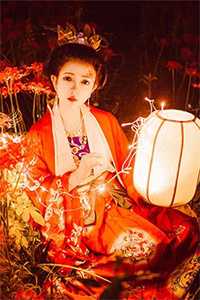 第七年春雨迟畅读