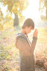 春日不迟情已消全章节阅读