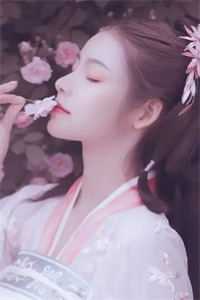 你是我的难回头沈念傅云城全文