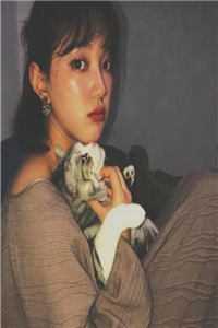 他向黎明乘风去在线