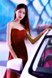 花落魂散余生苦沈语柔温淮安后续+全文