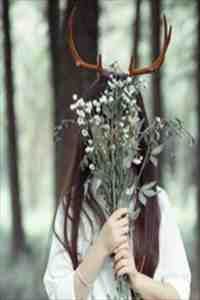 曾以长风寄情深无广告