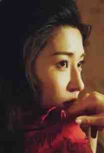 京北晚来信畅销巨著