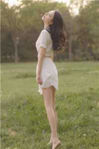 青山依旧，故人不归完结