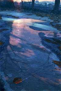 南风吹梦入西洲全文免费