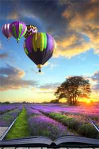 浮生唯他是遗憾全篇