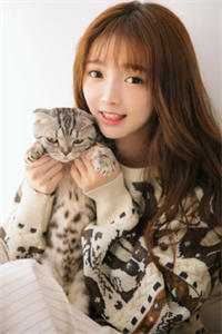 半盏花灯枕明月完结版