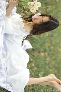 从此再无我们完本