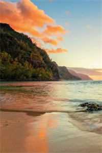 春吻寒木，只花破雪全文免费