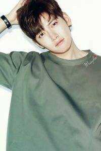 曾有幸遇到一束光在线阅读全本阅读