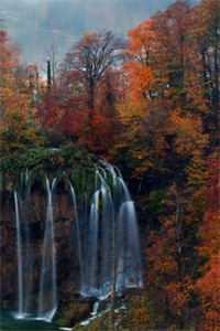 掸去衣上尘无错版