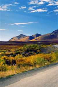 曾有幸遇到一束光精品选集