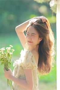 京北晚来信爽文