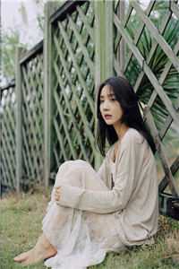 风月归来仍少年免费阅读