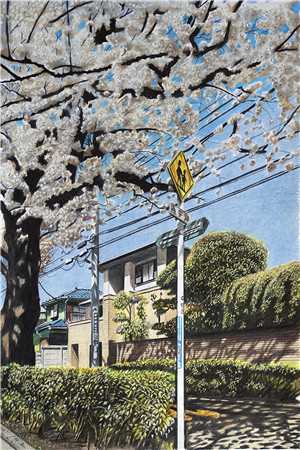 从此年年不见雾最新章节