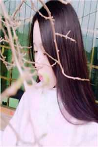 一枕相思锁清秋抖音