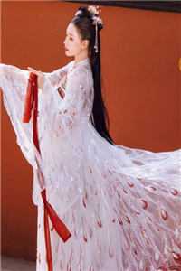 空抱一隅相思已完结