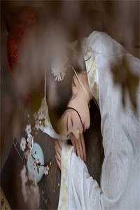 曾以长风寄情深完结