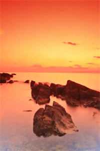 重生后，我把熊孩子的夺命盲盒送到了他爸寿宴上无错版