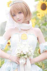 岁月深处有微光在线