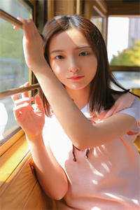 风起时，花落无声在线看