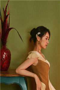 曾诺惊鸿共白头抖音