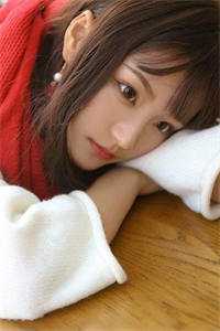 爱恨终无，星碎梦落良心推荐