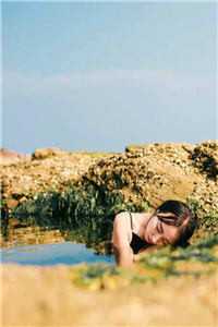 若再重逢，愿不相识全本