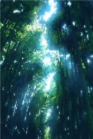 胎停之后，我把闺蜜送我的骨灰项链送给了狗全新